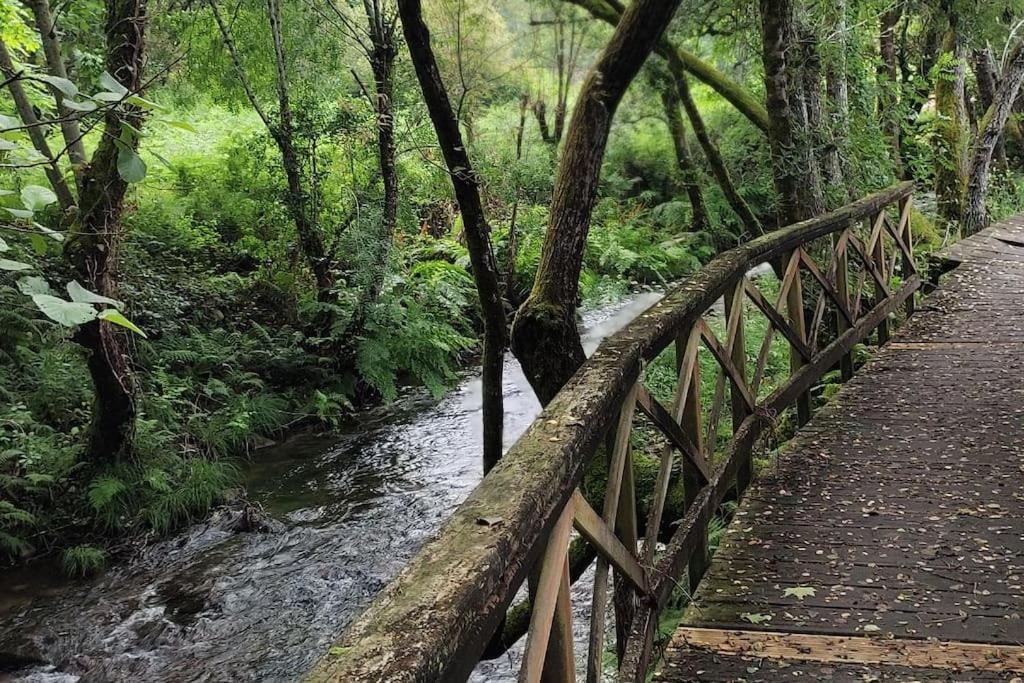 Appartement Tranquilidad Y Naturaleza à Mondariz-Balneario Extérieur photo
